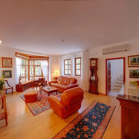 Vulin Veruda فيلة