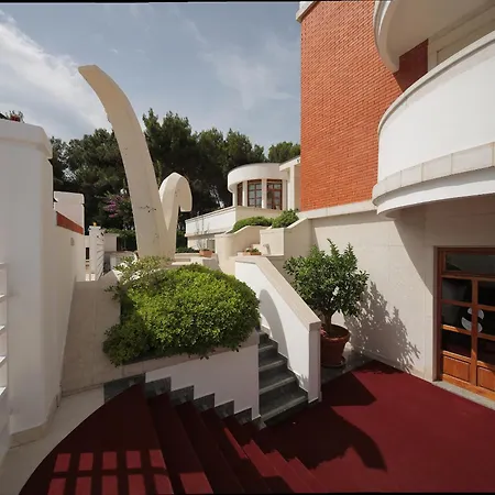 فيلة Vulin Veruda *