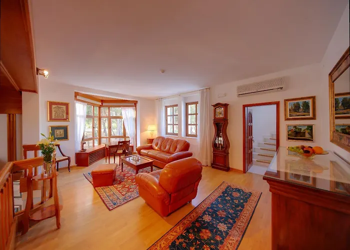 Vulin Veruda فيلة