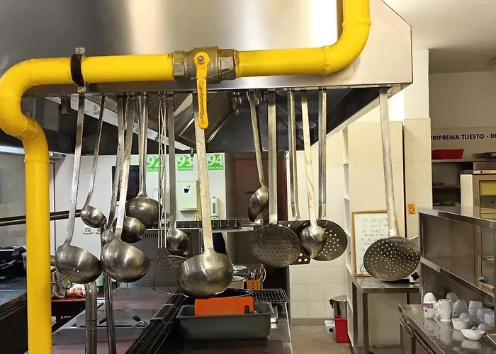 Vulin Veruda فيلة *